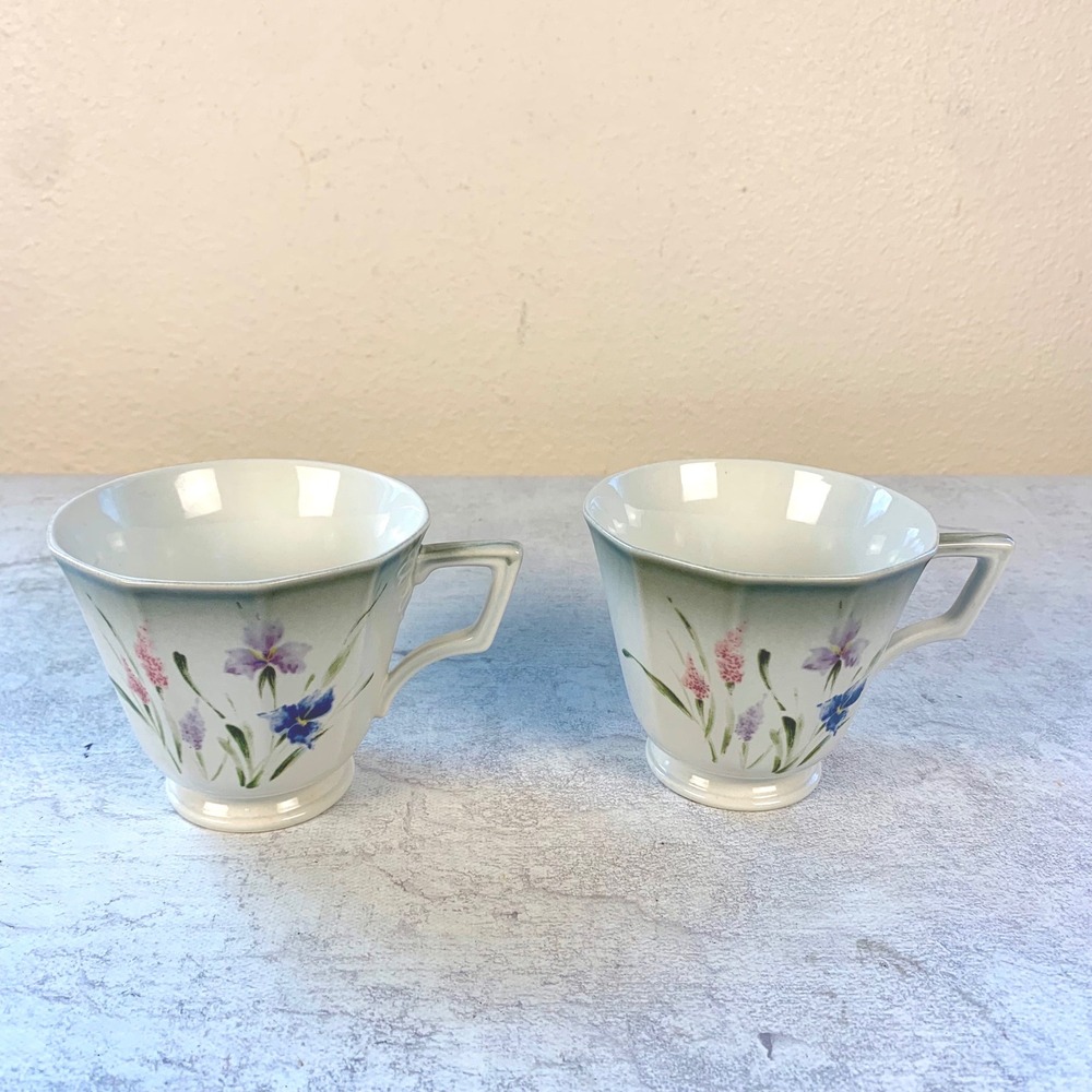 Vintage Mikasa Alpine Meadow Nature's Garden Cups Set of 2 DA904 Japan